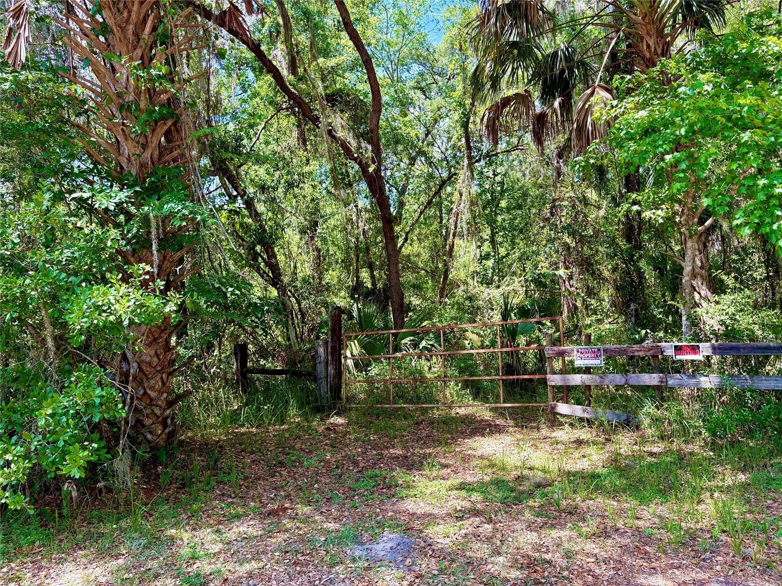 Old Crystal River Road, FL