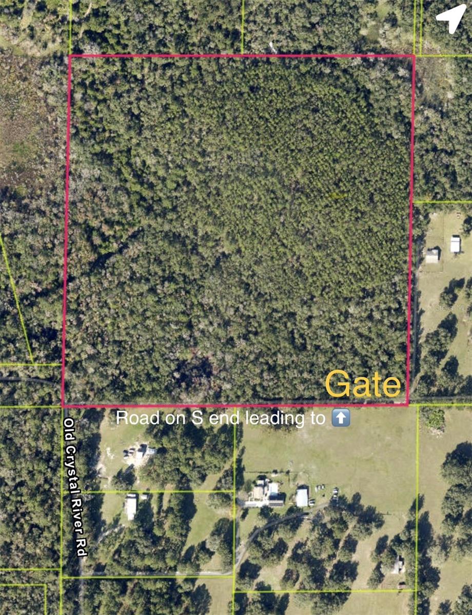 Old Crystal River Road, FL
