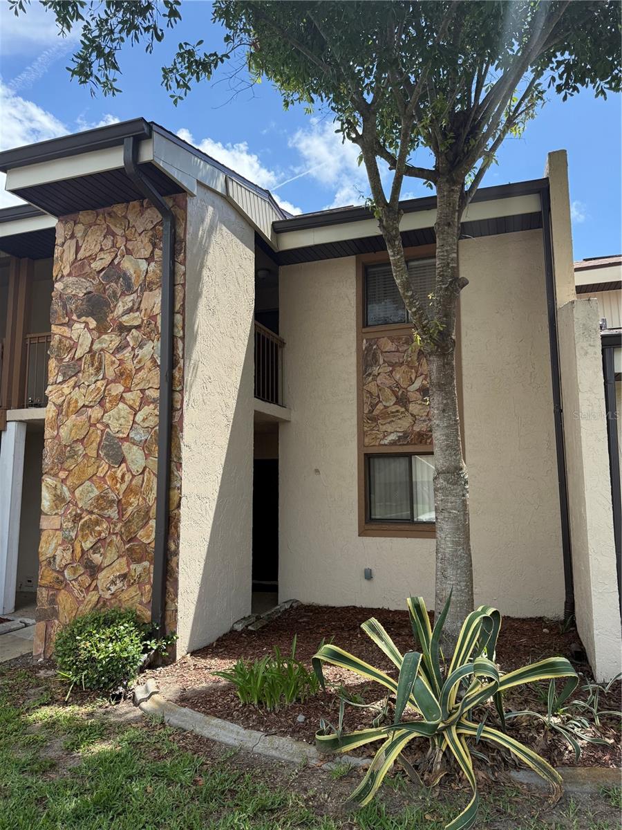 7015 Cognac Drive, FL