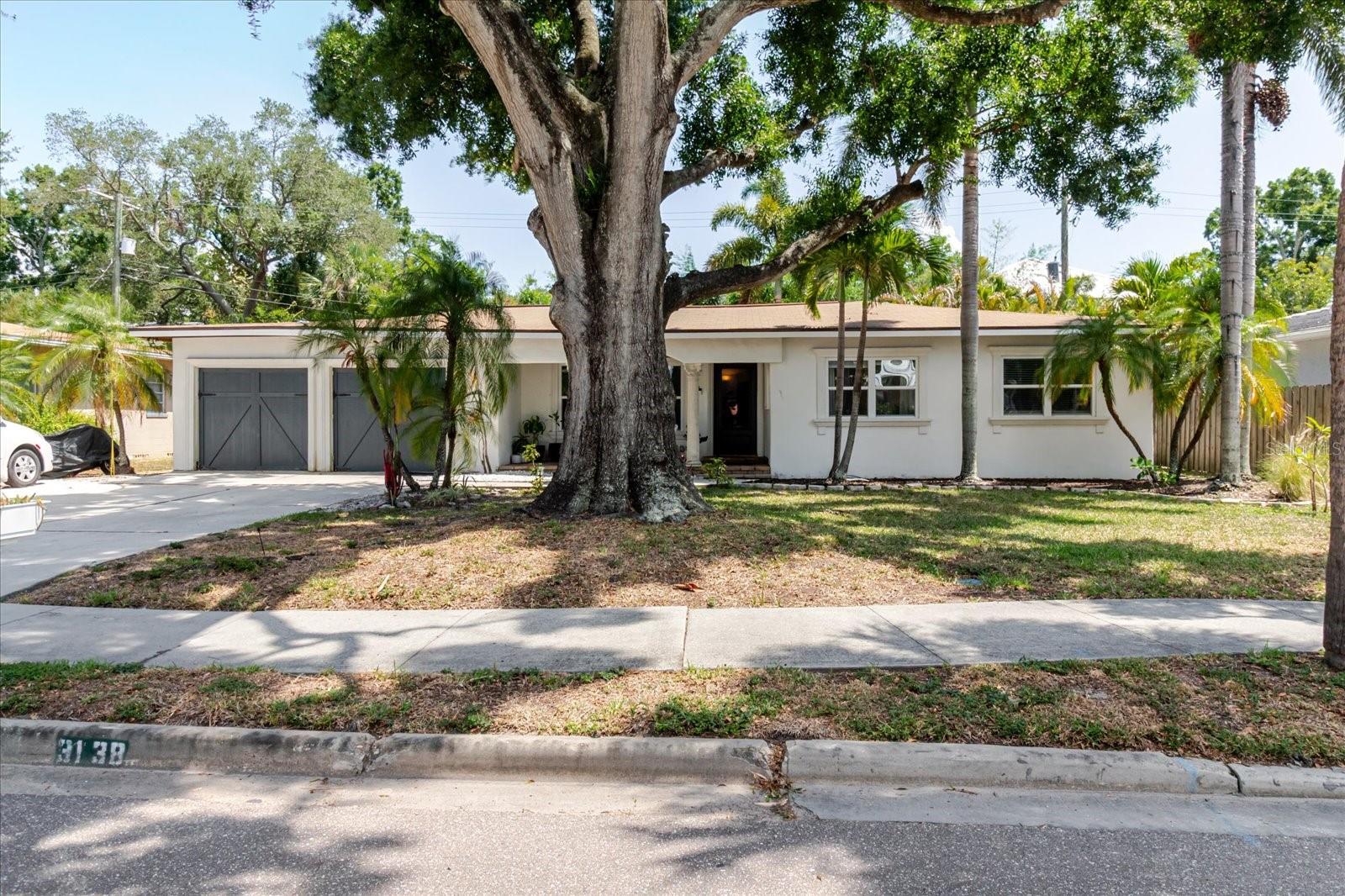 3138 Euclid Avenue, FL