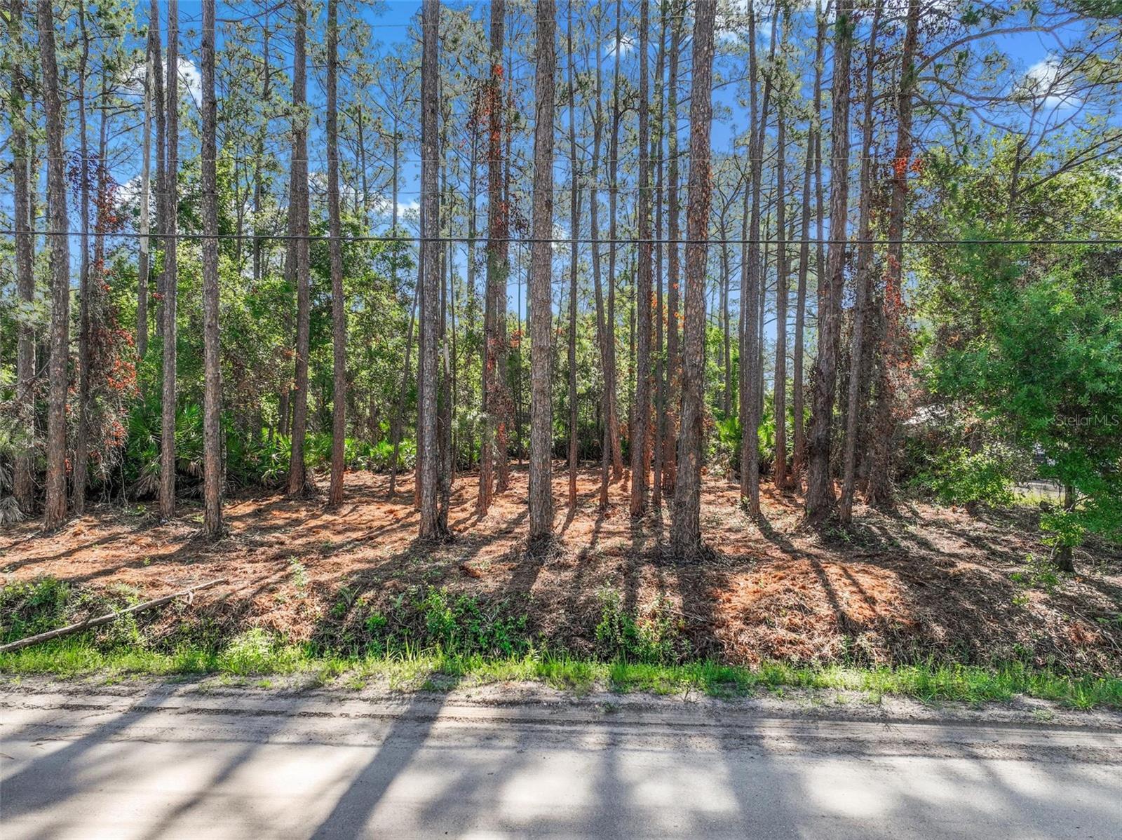 2679 Forest Park Street, FL