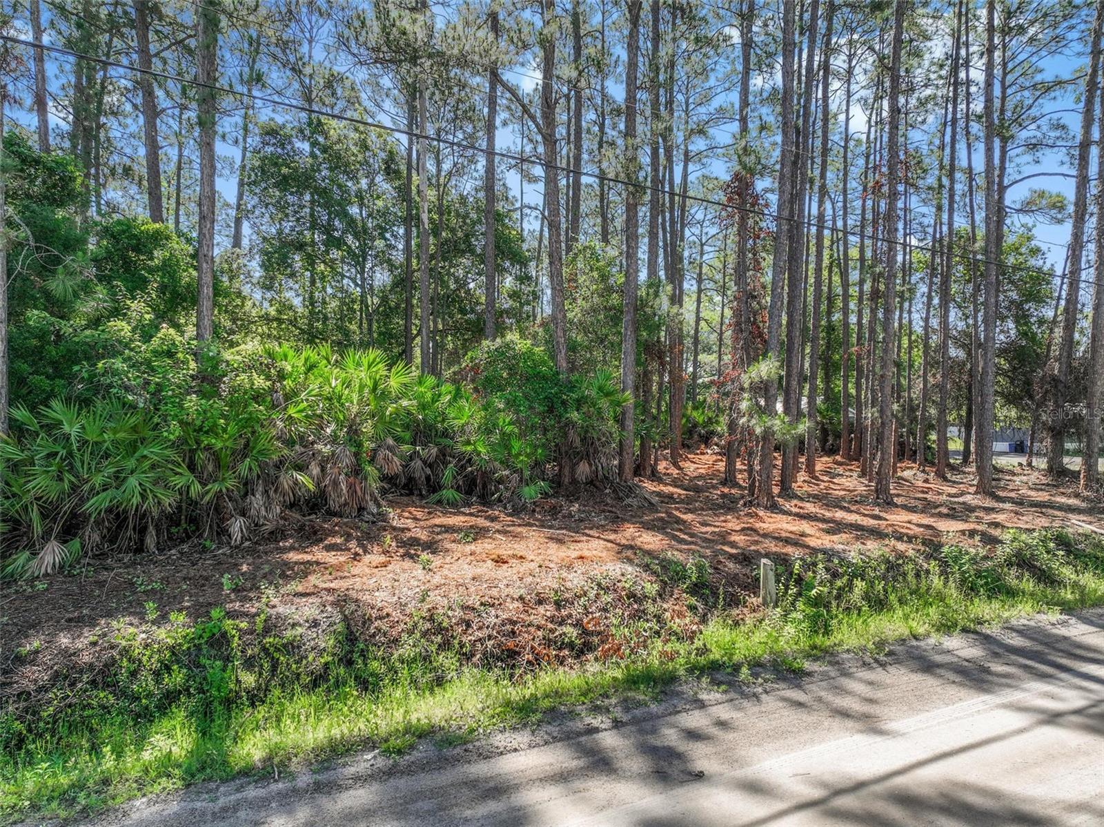 2679 Forest Park Street, FL