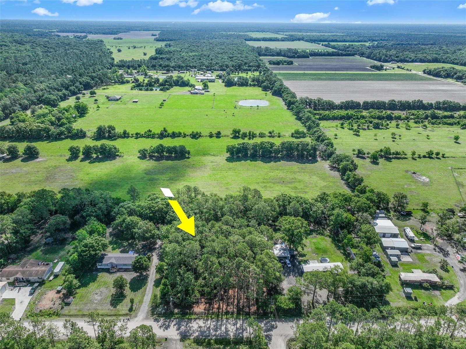 2679 Forest Park Street, FL