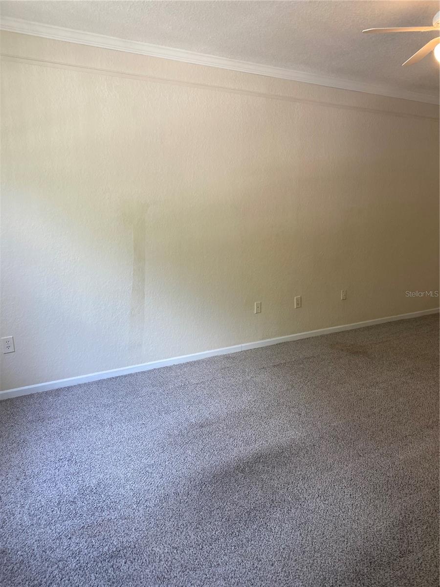 17110 Carrington Park Drive, FL