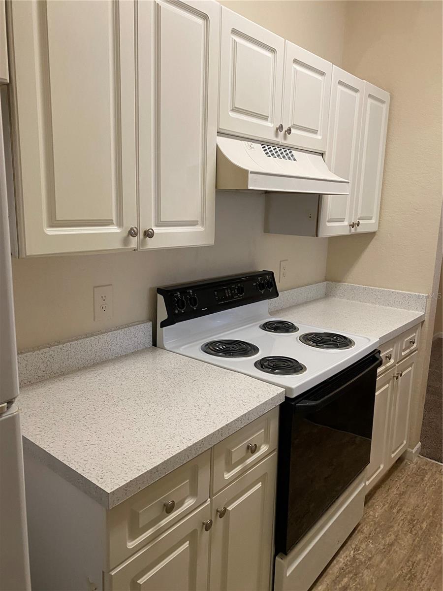 17110 Carrington Park Drive, FL