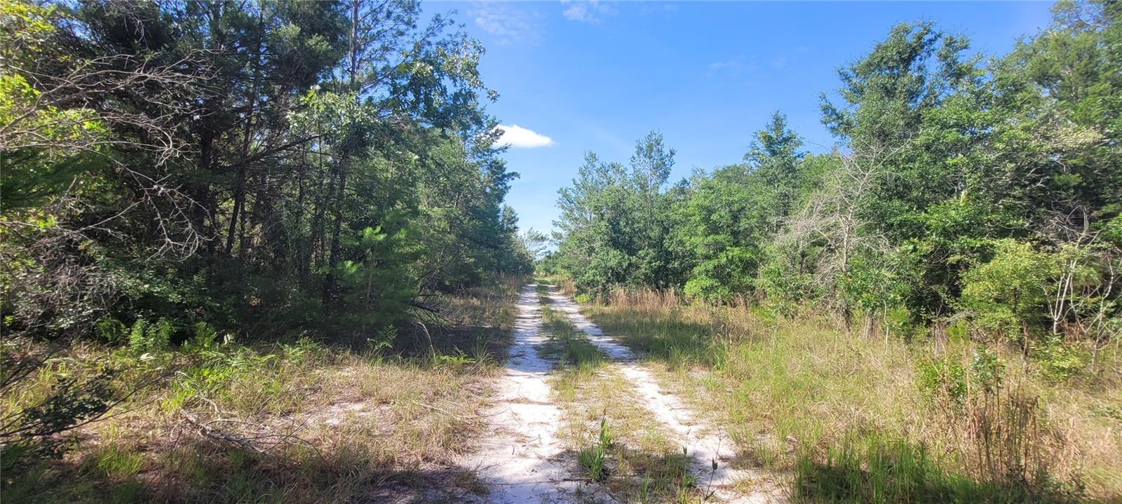 Union Way, FL