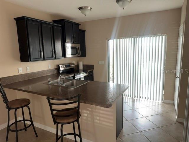3251 Windleshore Way, FL