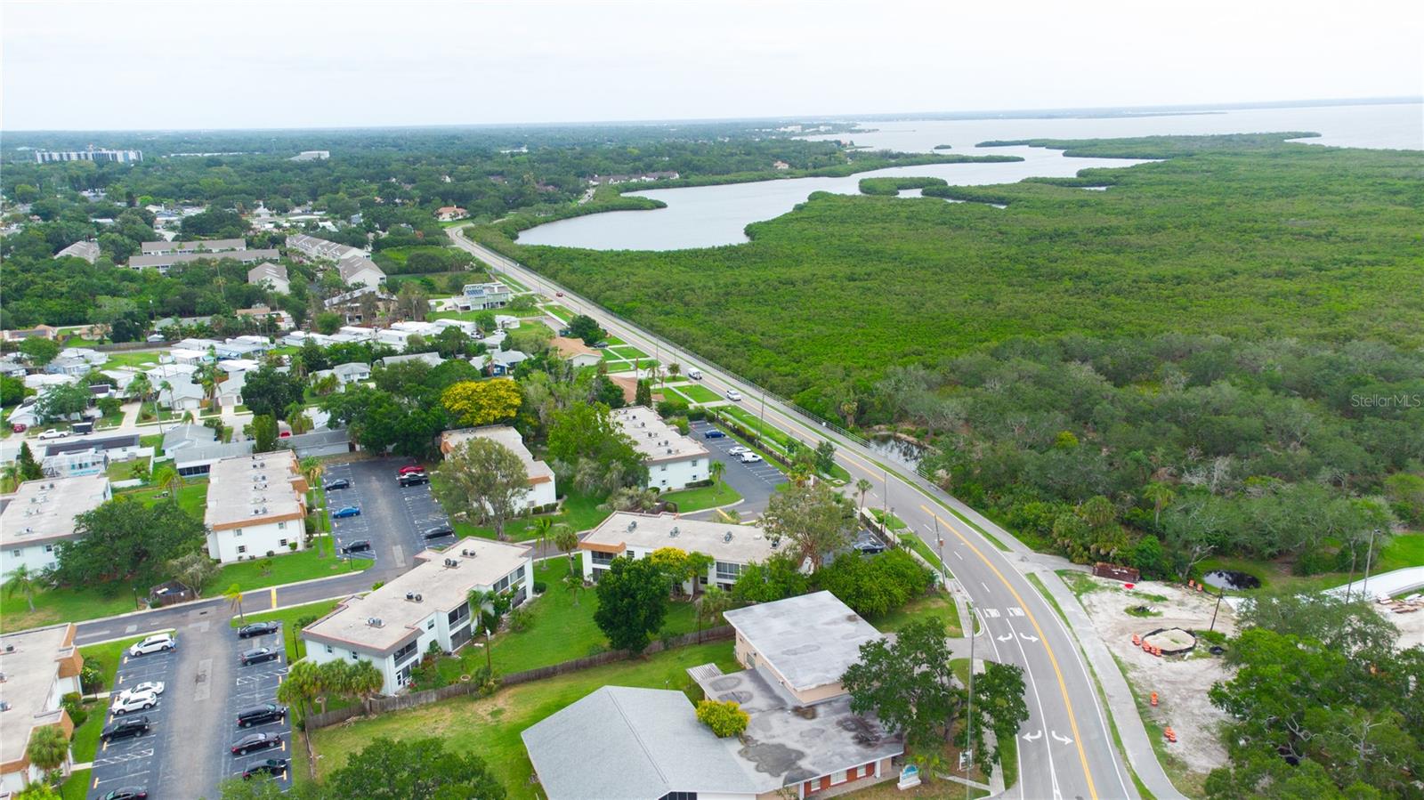 389 Mcmullen Booth Road, FL