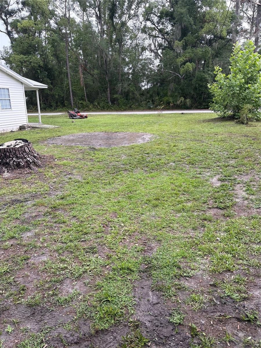 JASPER, FL