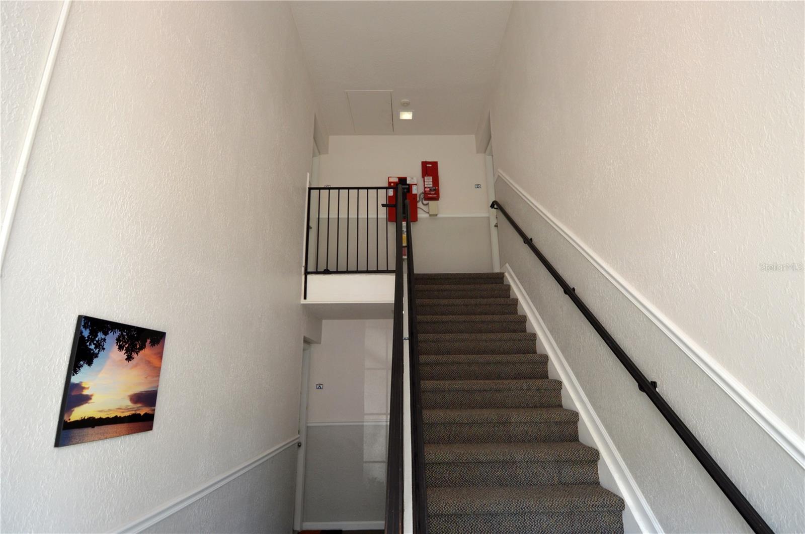 3889 Pompano Drive, FL