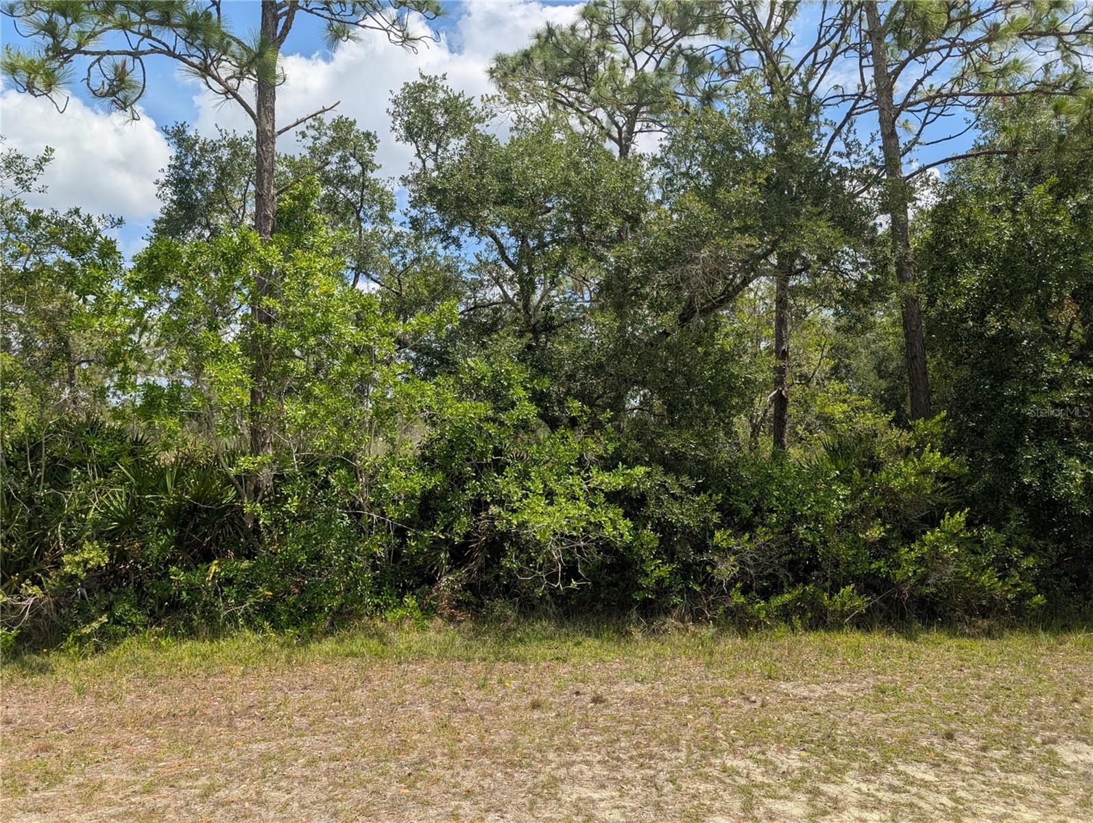 716 Orchid Drive, FL