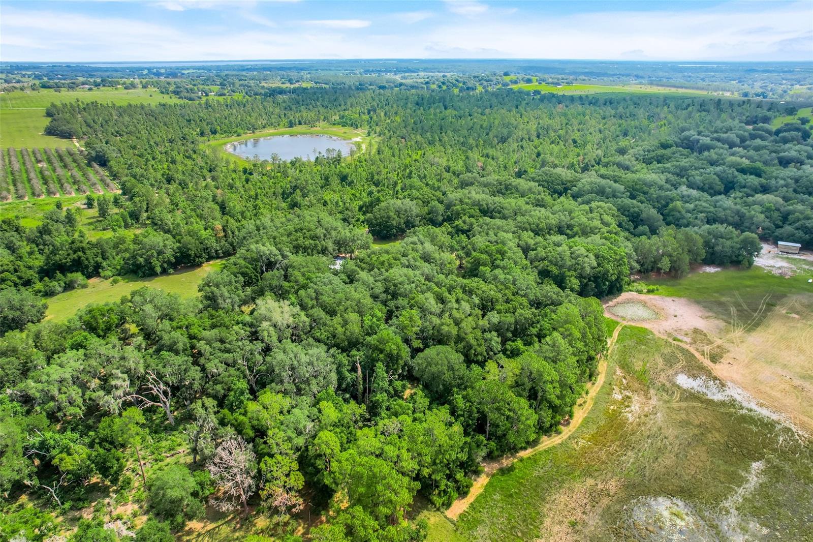 23449 Thomas Allen Road, FL