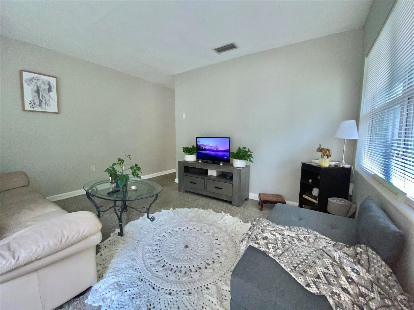 1022 Delaney Park Drive, FL