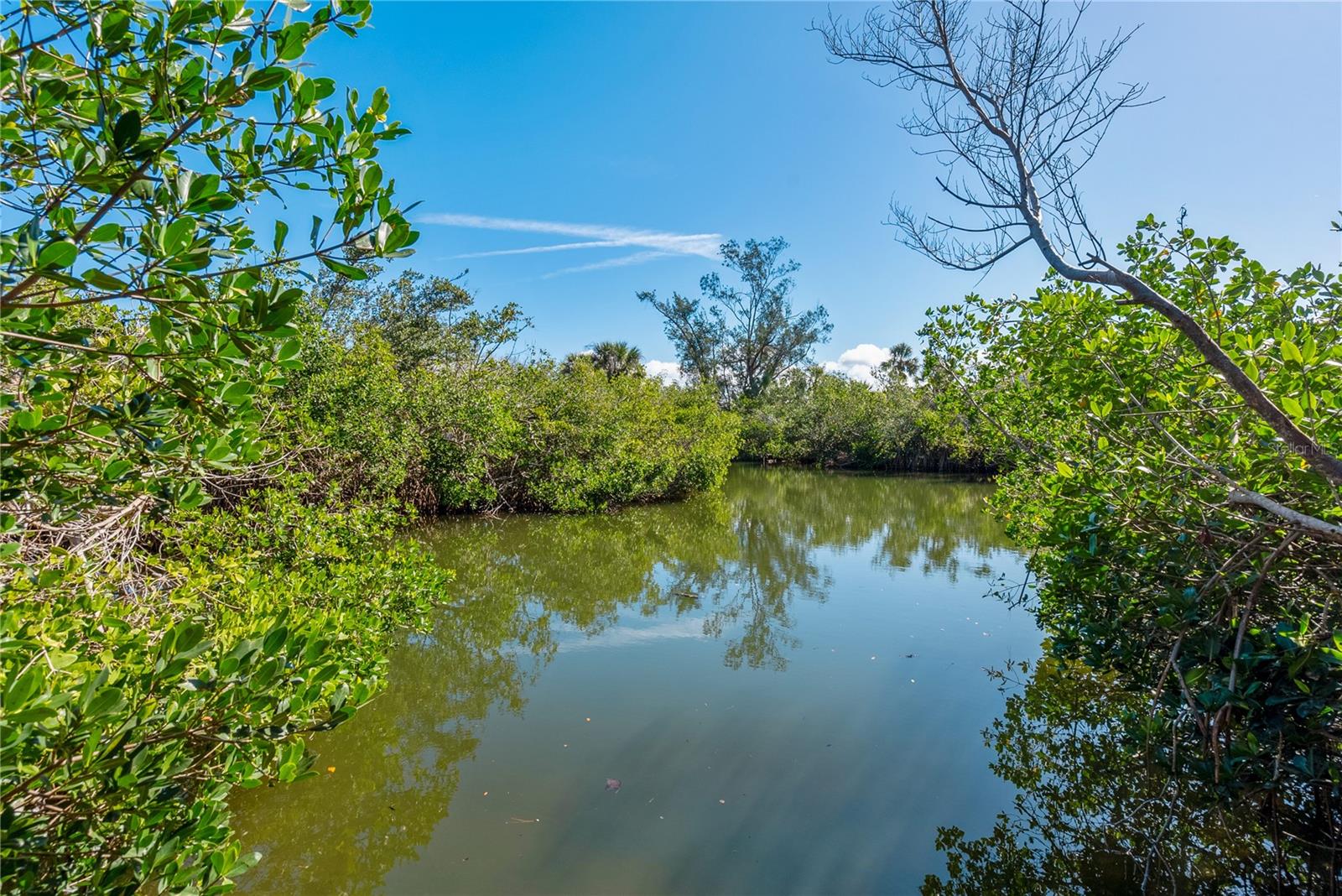 7219 Pine Needle Road, FL
