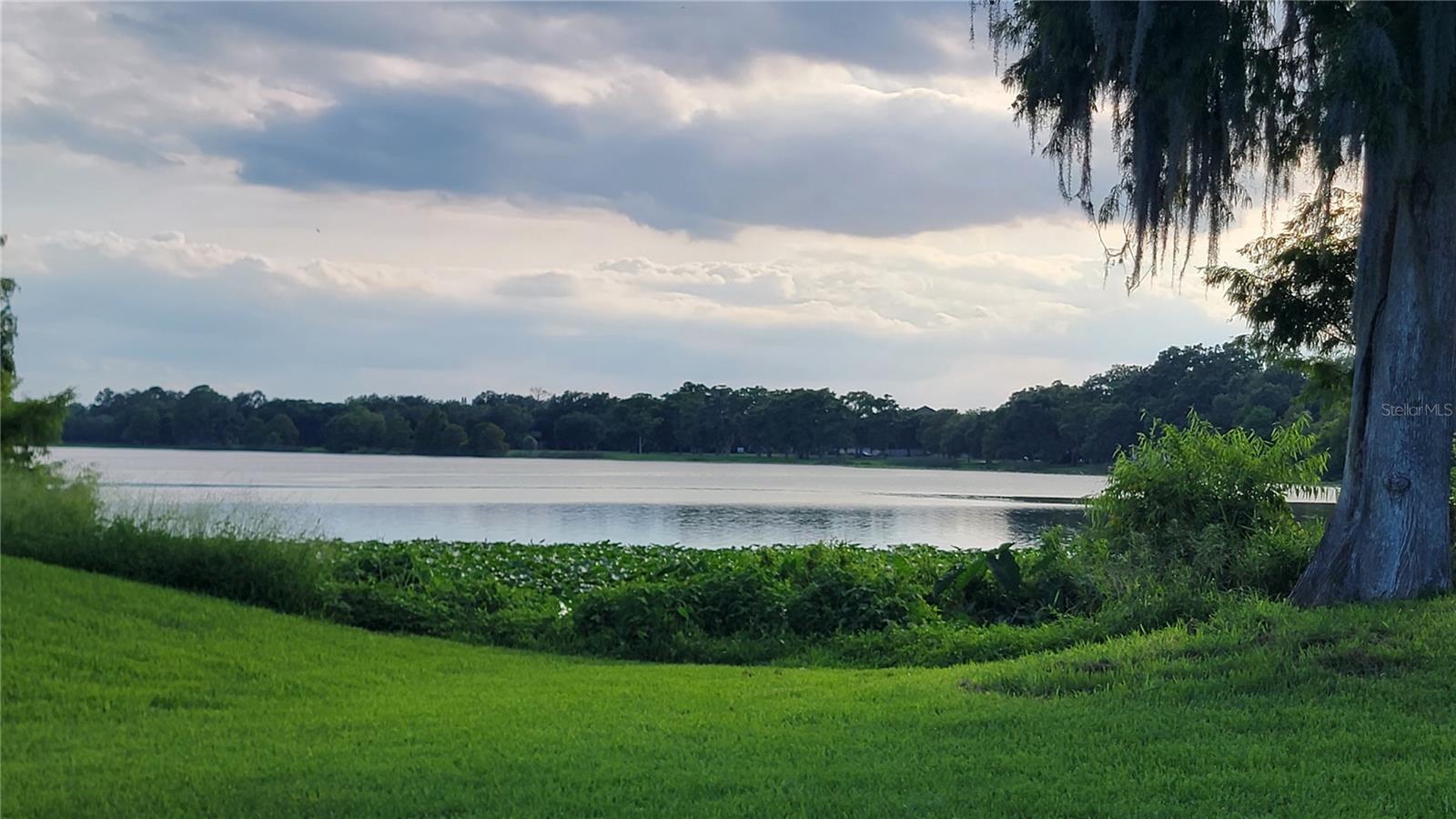 4023 Versailles Drive, FL