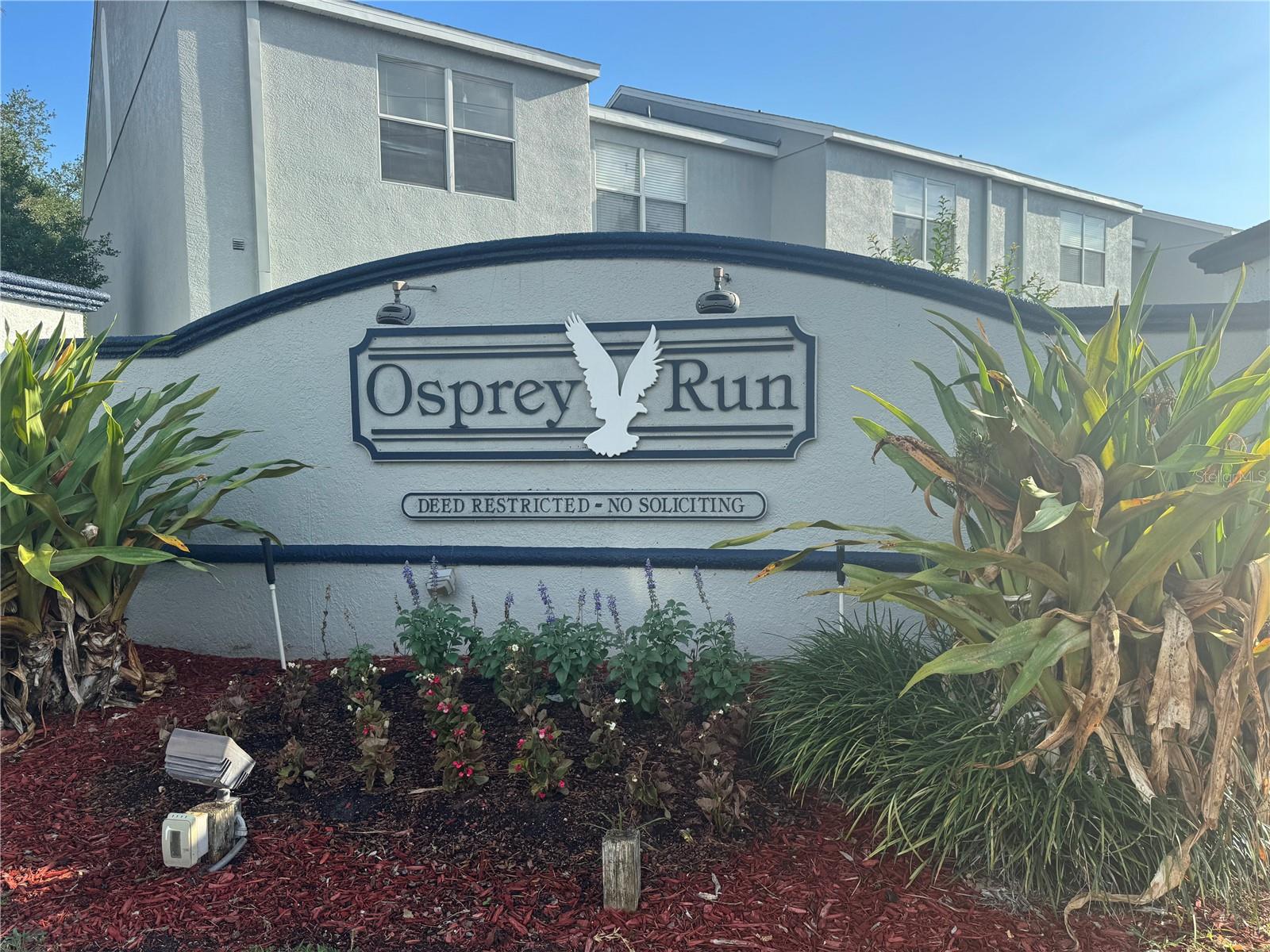 6229 Osprey Lake Circle, FL
