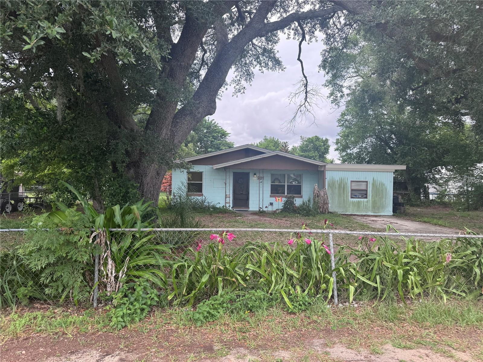 231 Willow Street, FL