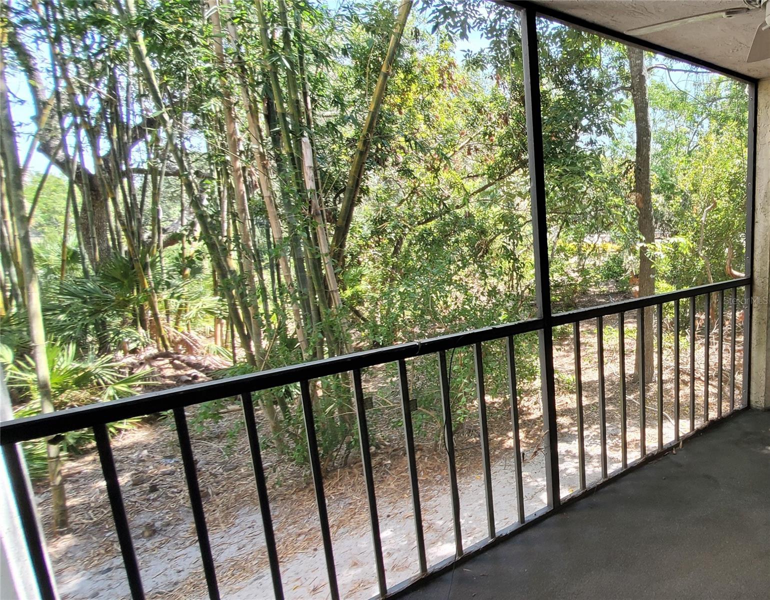 2756 Orchid Oaks Drive, FL