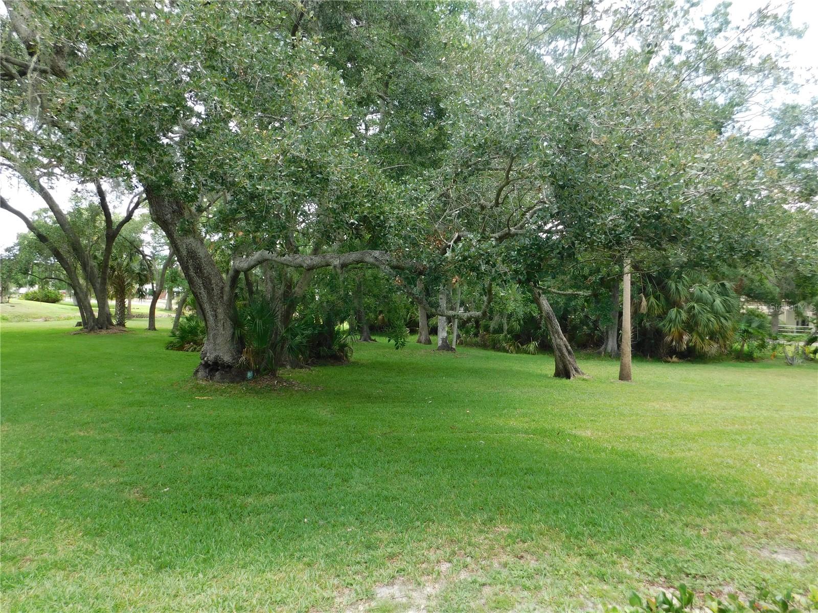 1400 Tarpon Woods Boulevard, FL