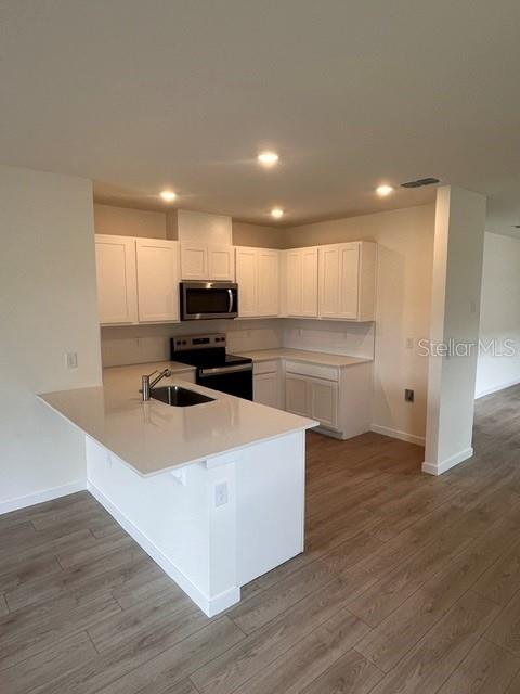 1361 Camellia Bloom Lane, FL