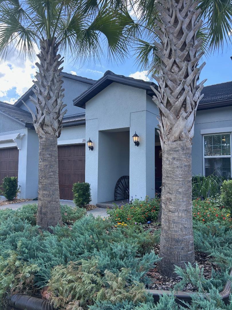 16919 Forge Surf Street, FL