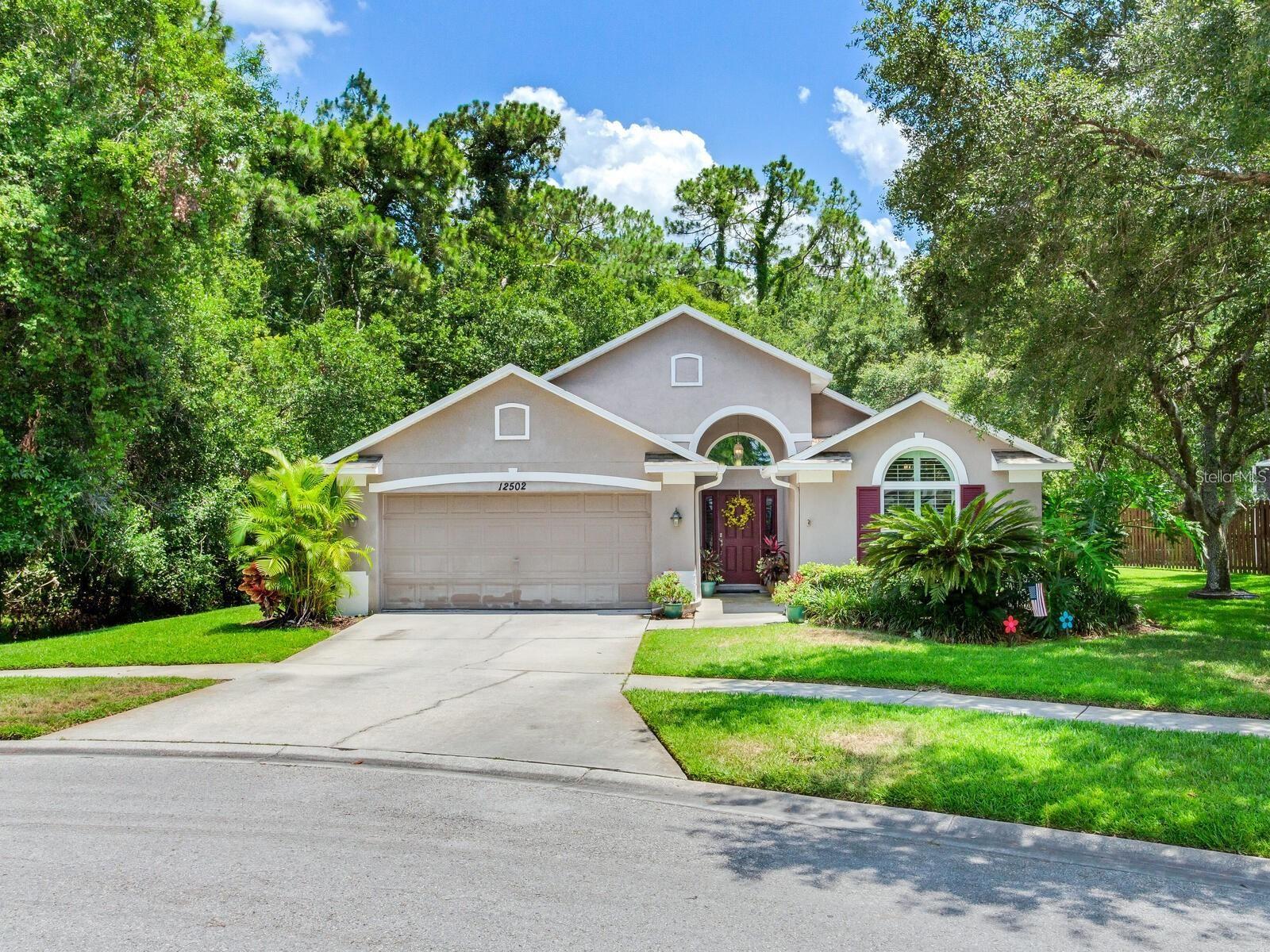 12502 Blazing Star Drive, FL