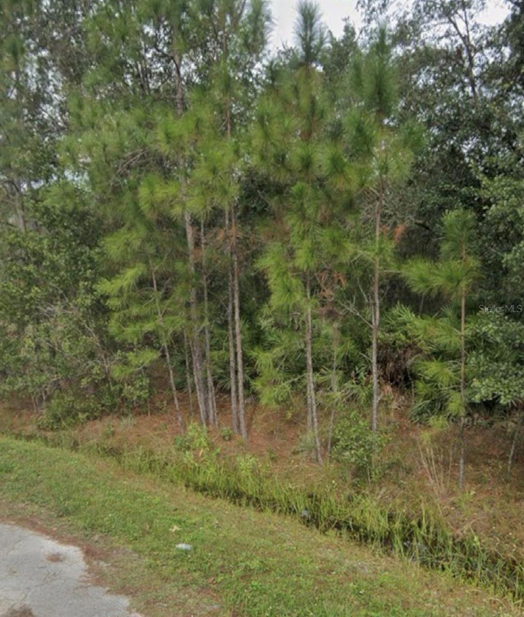 1437 Tern Court, FL