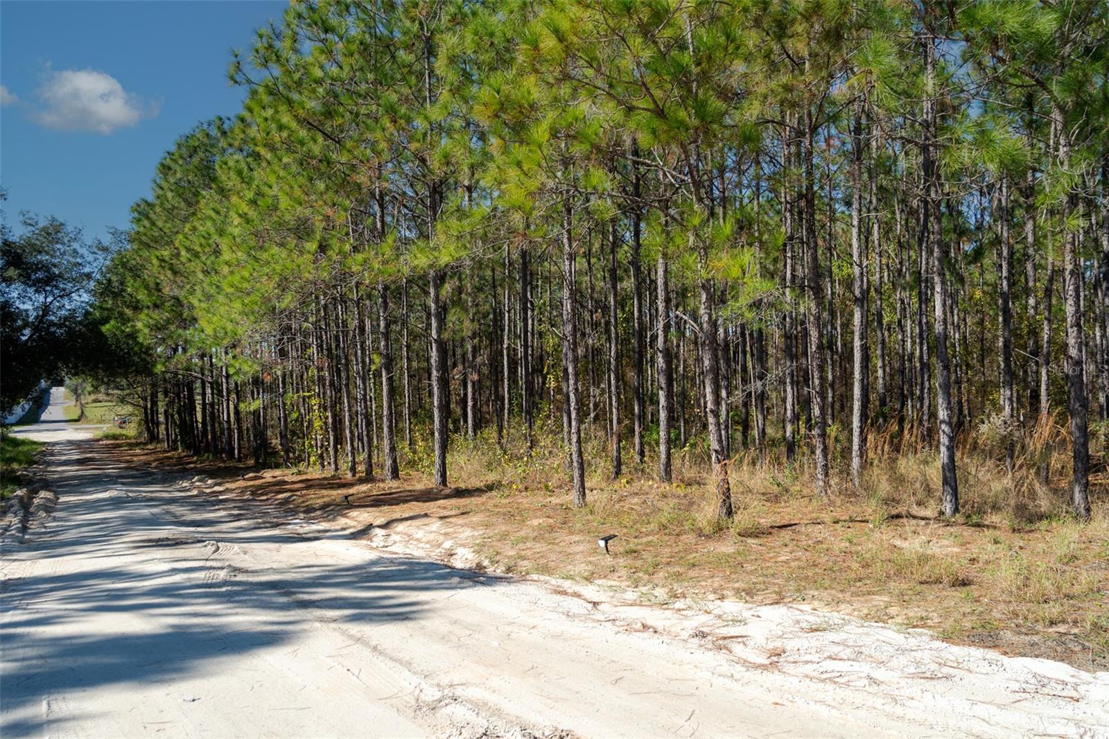 Lost Lake Road, FL