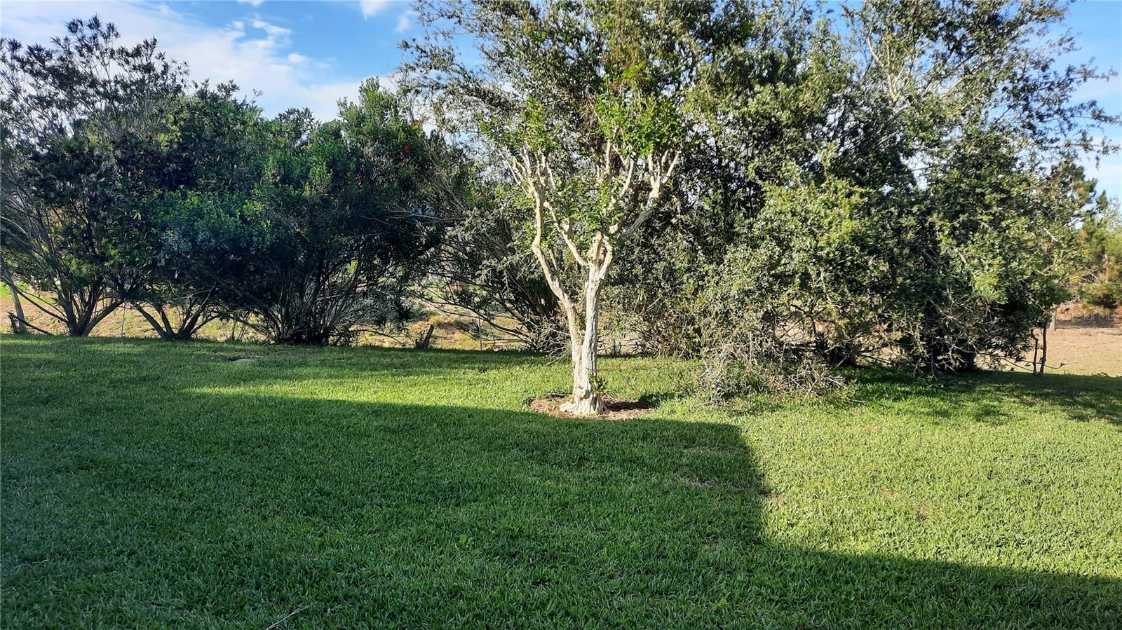 1315 Elli Circle, FL