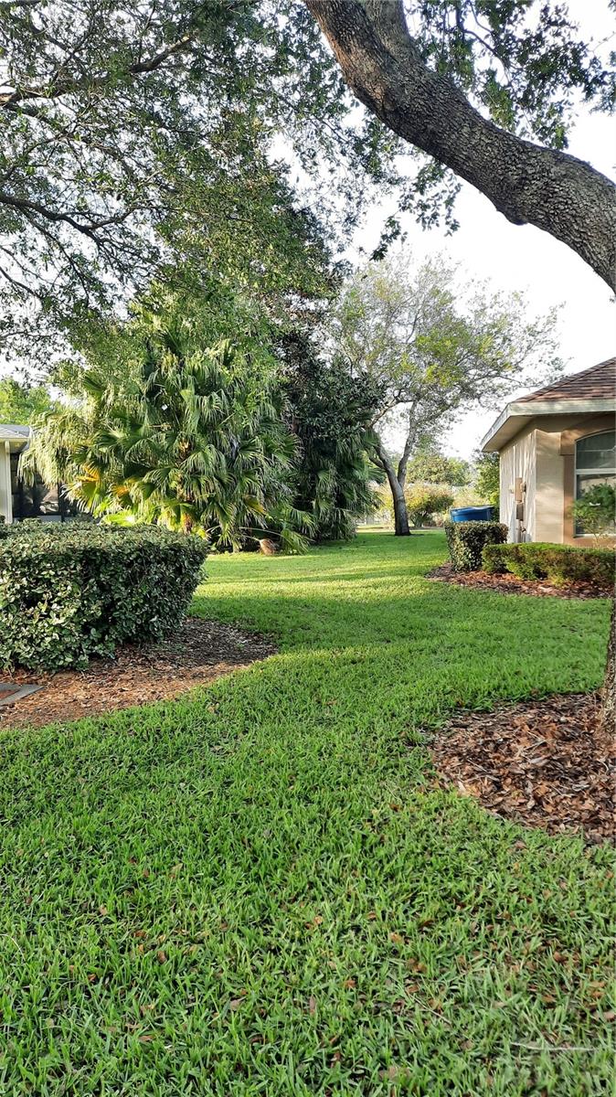 1315 Elli Circle, FL