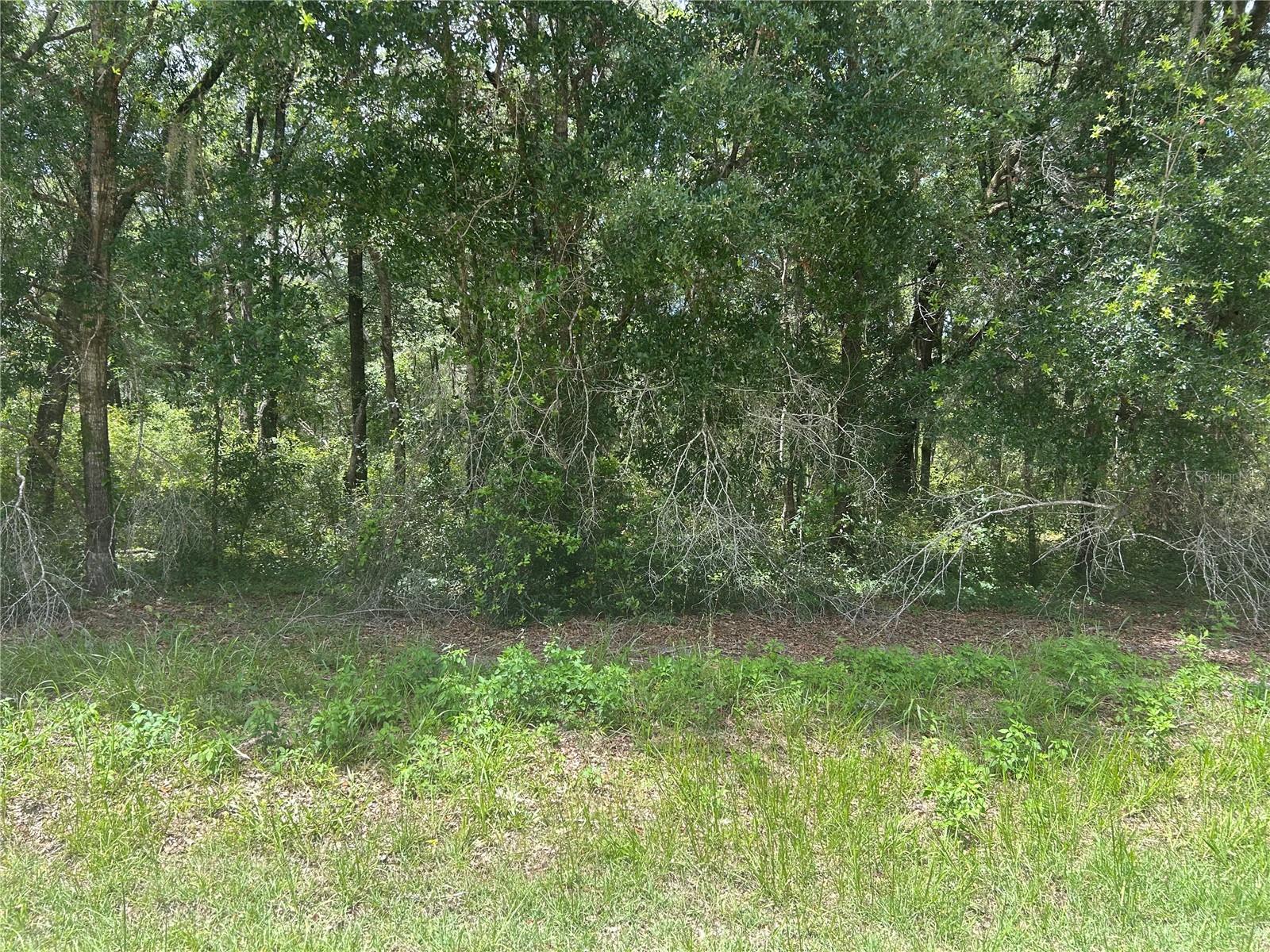 111 Lane, FL