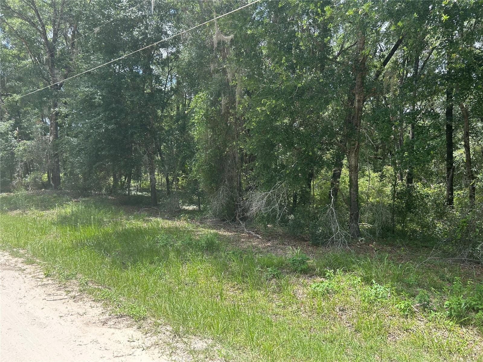 111 Lane, FL