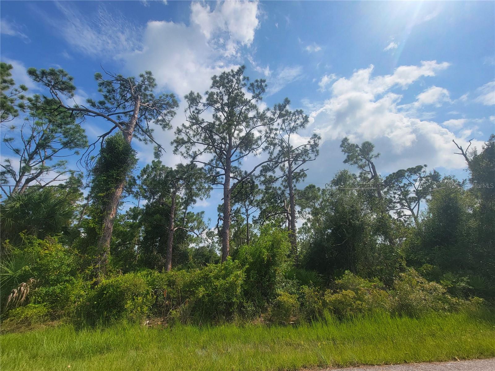 1508 Biscayne Drive, FL