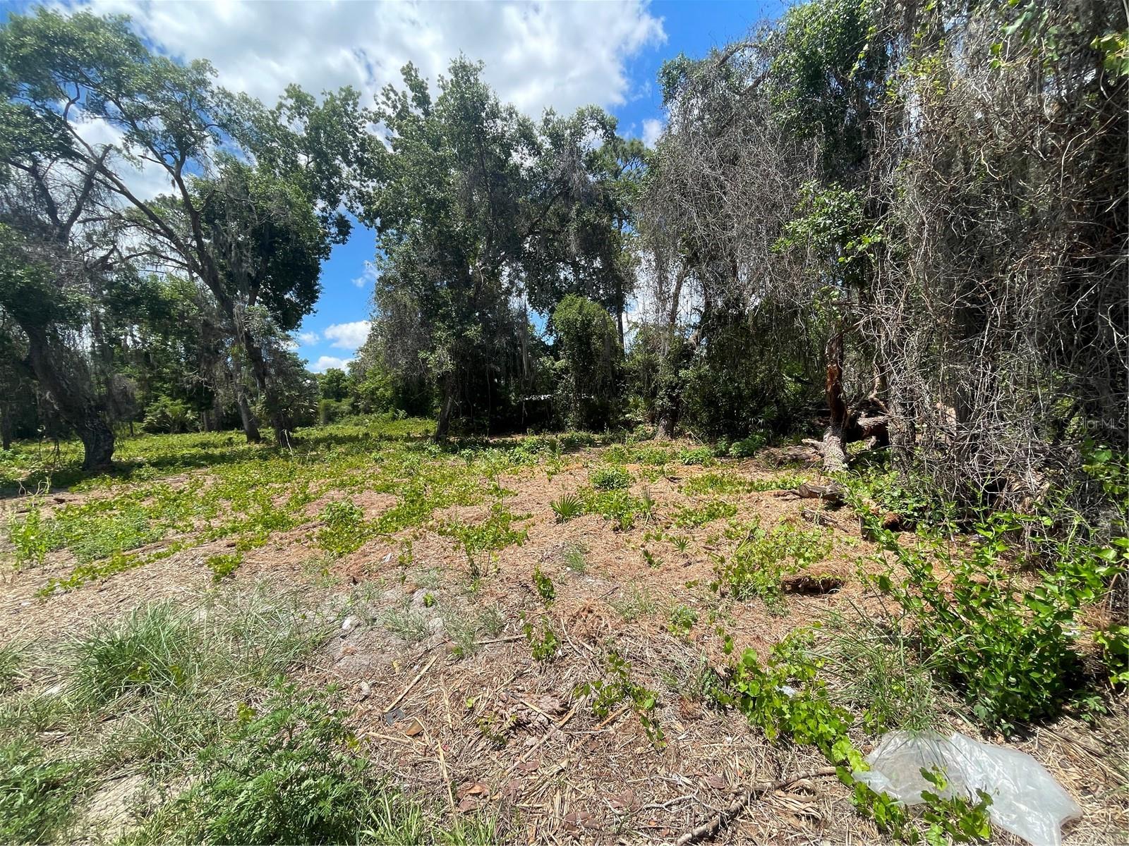County Road 42, FL