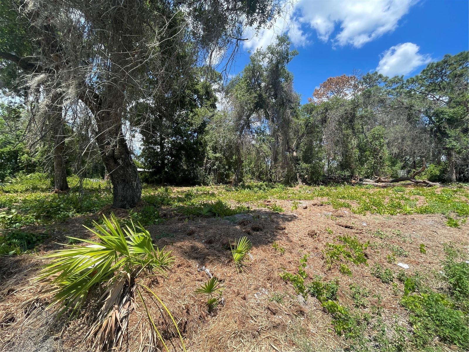 County Road 42, FL