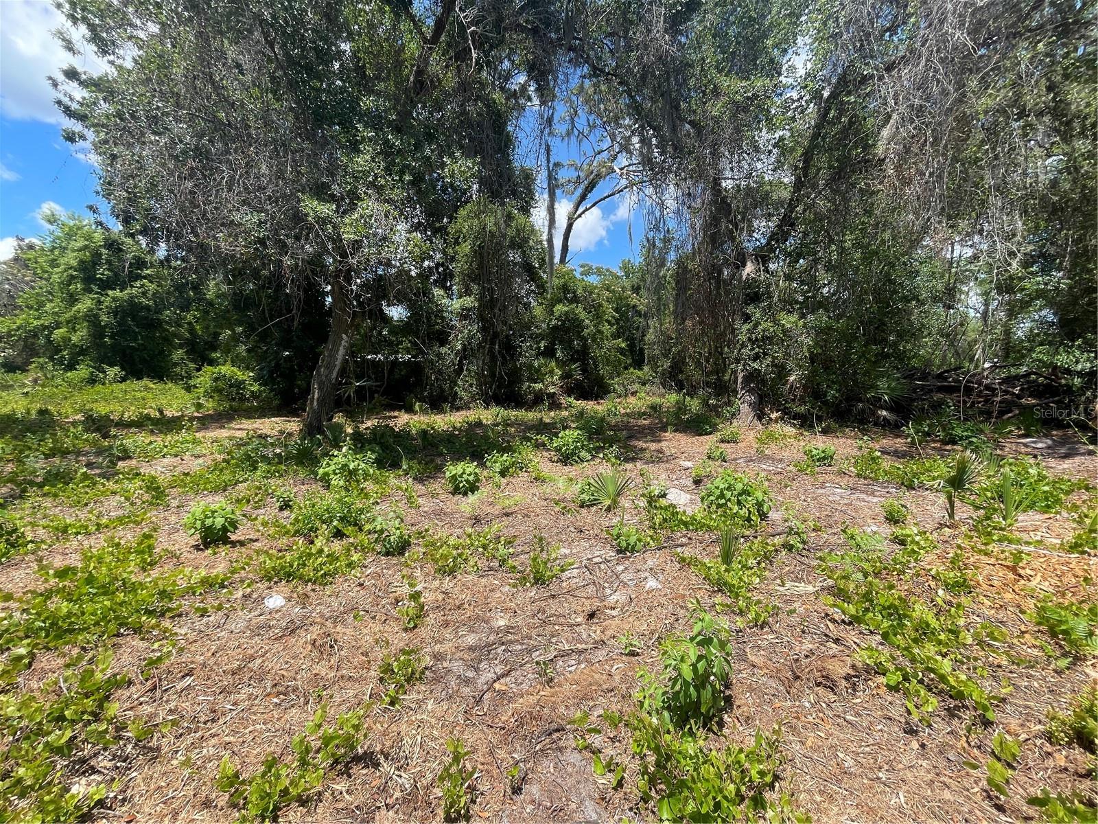 County Road 42, FL