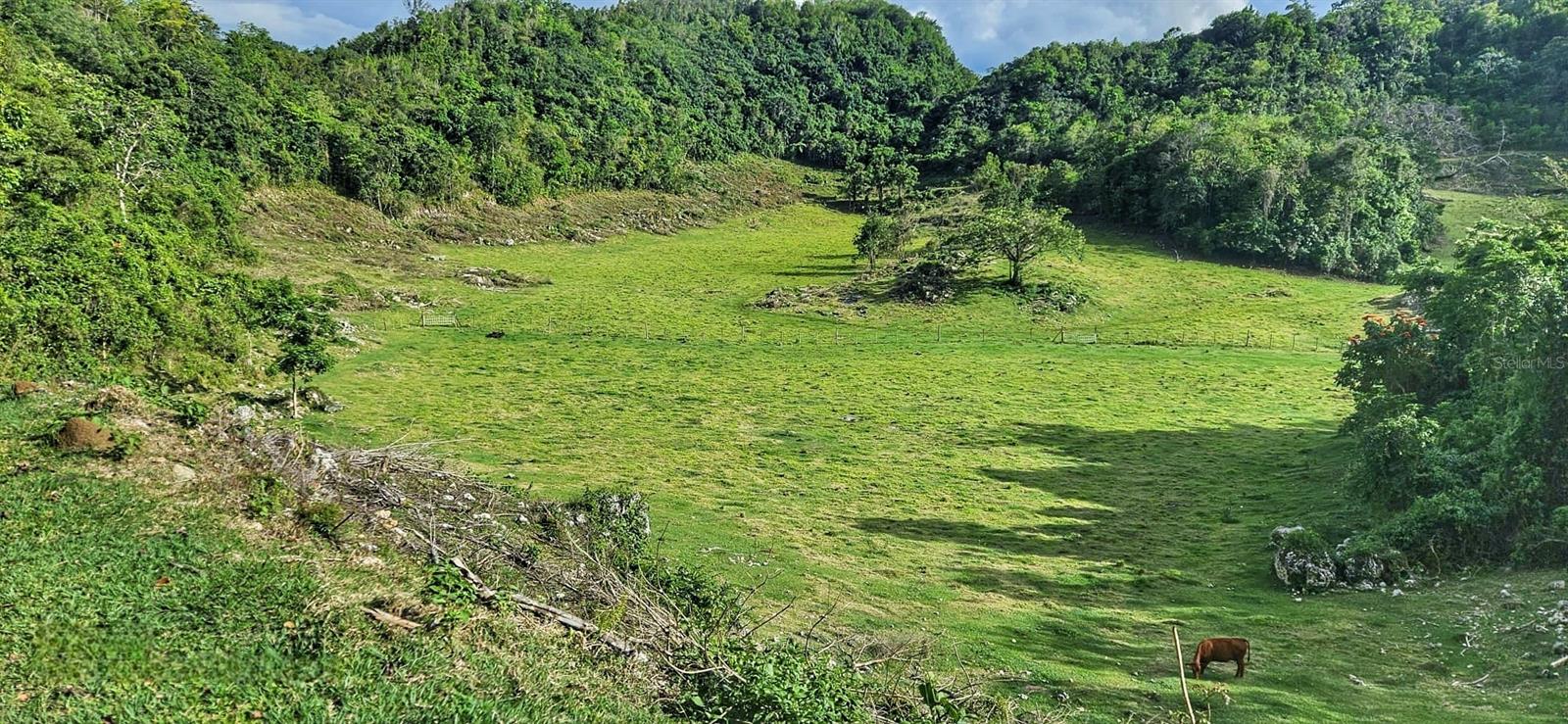 Carr 626 Bo Calichoza, PR