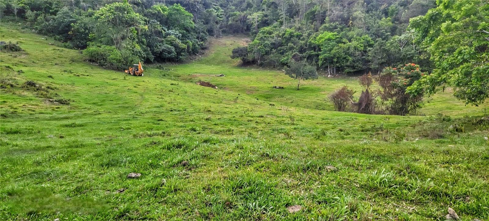 Carr 626 Bo Calichoza, PR
