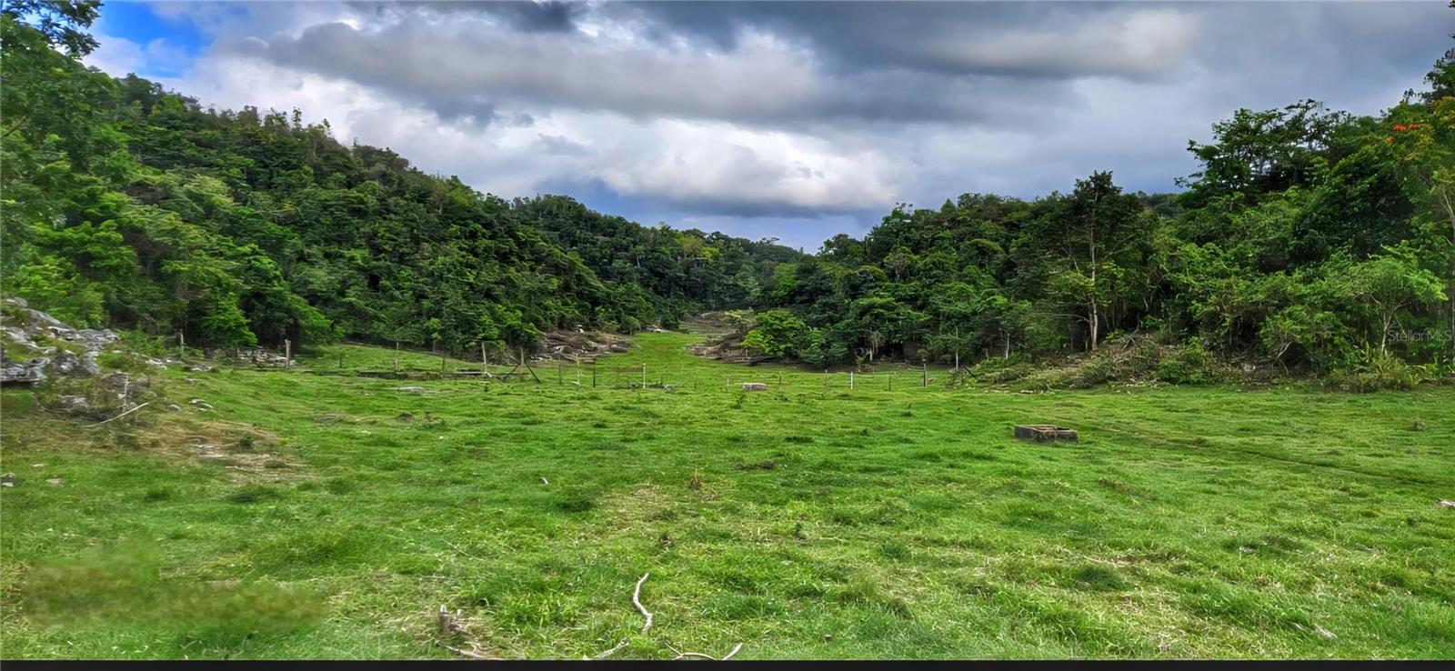 Carr 626 Bo Calichoza, PR
