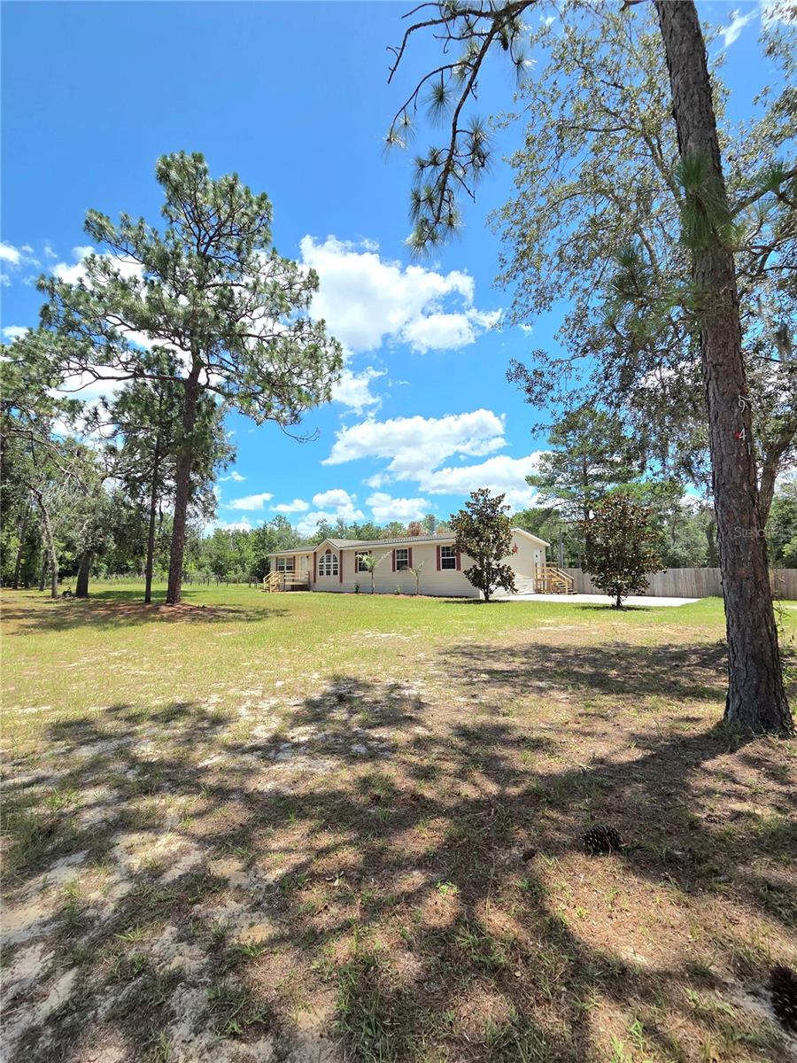 29341 Saddle Oaks Lane, FL