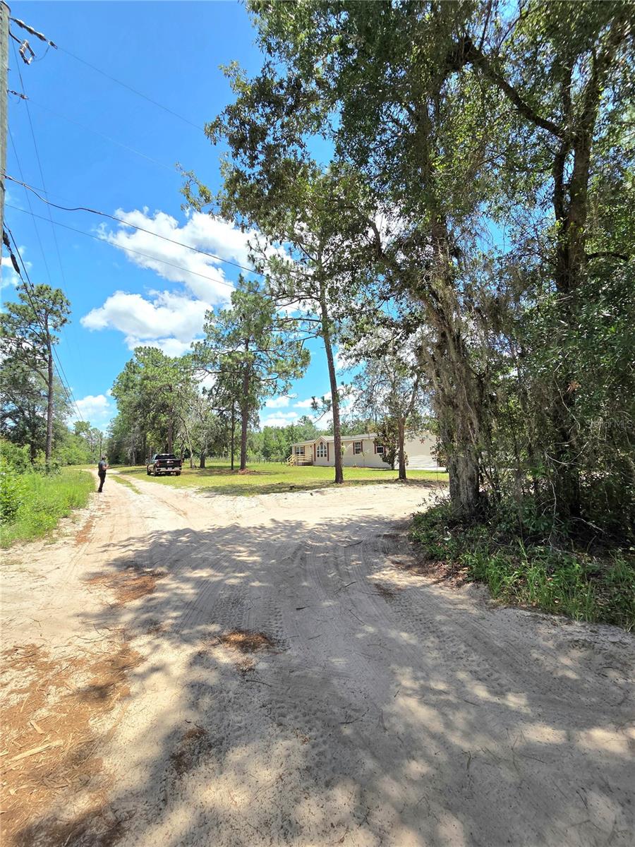 29341 Saddle Oaks Lane, FL