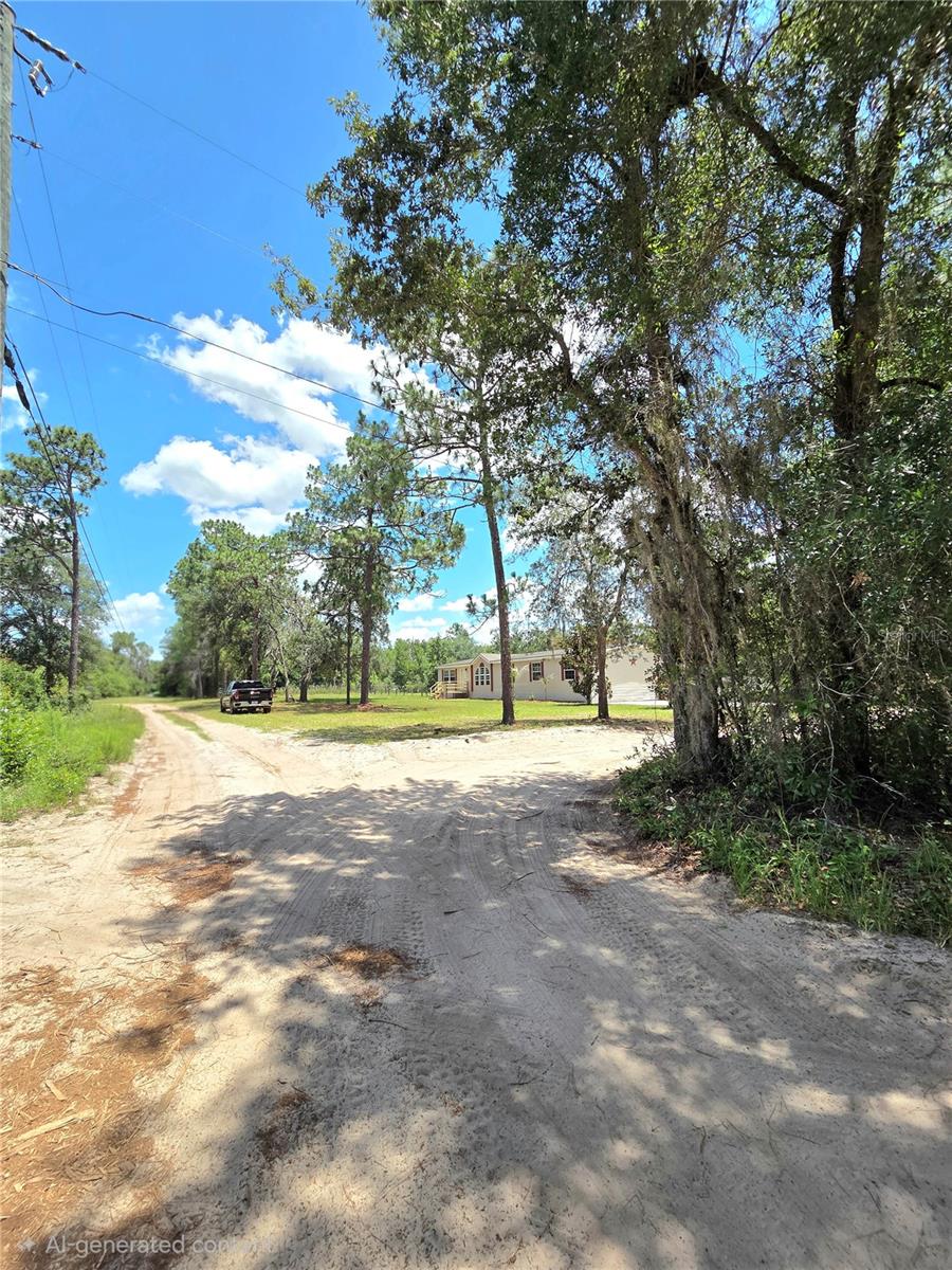 29341 Saddle Oaks Lane, FL