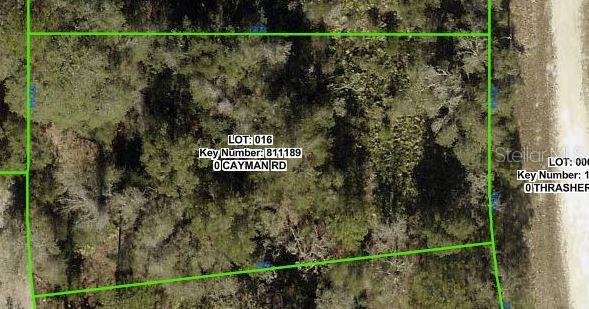 Cayman Road, FL