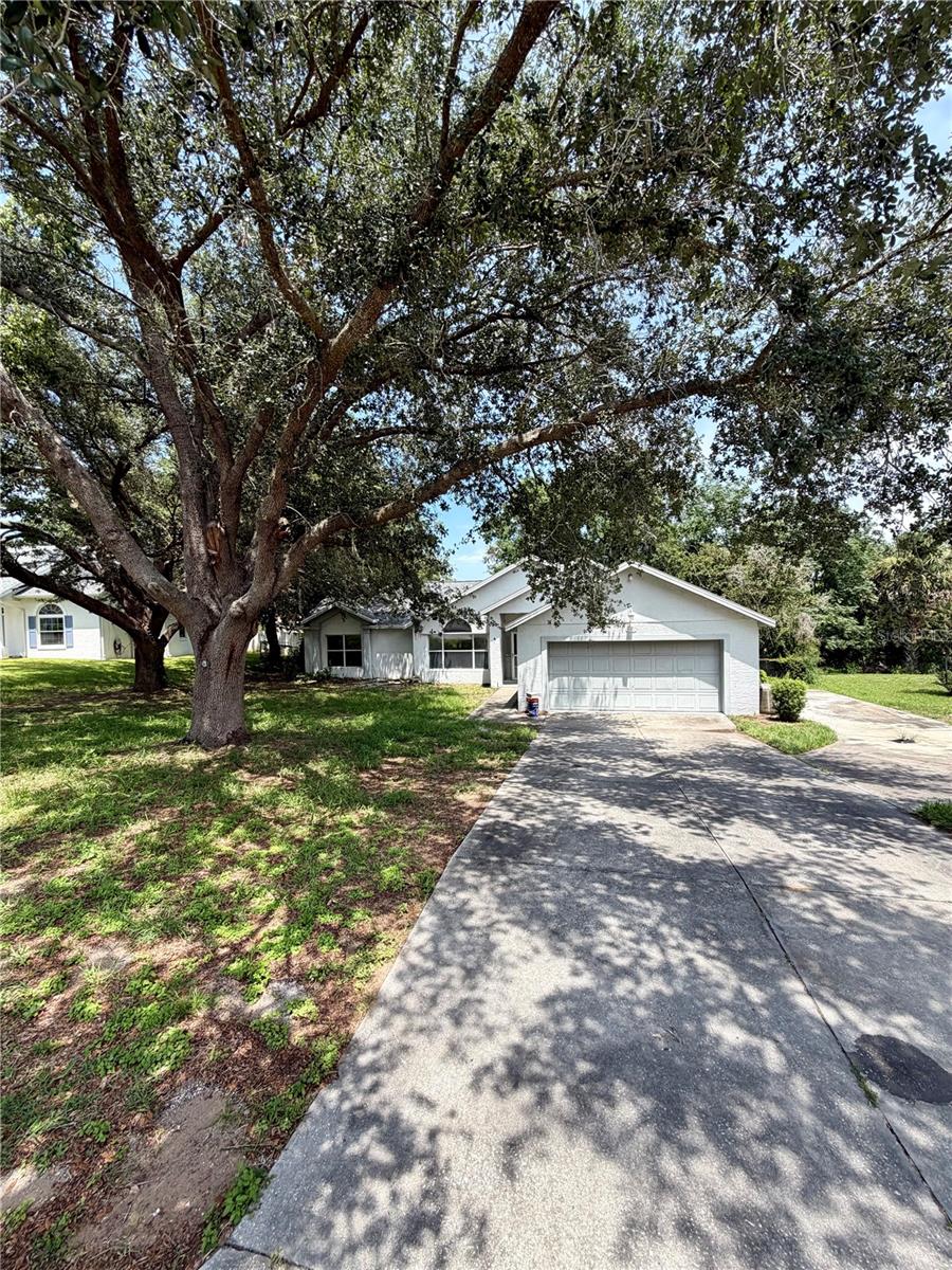 10258 Joanies Run, FL