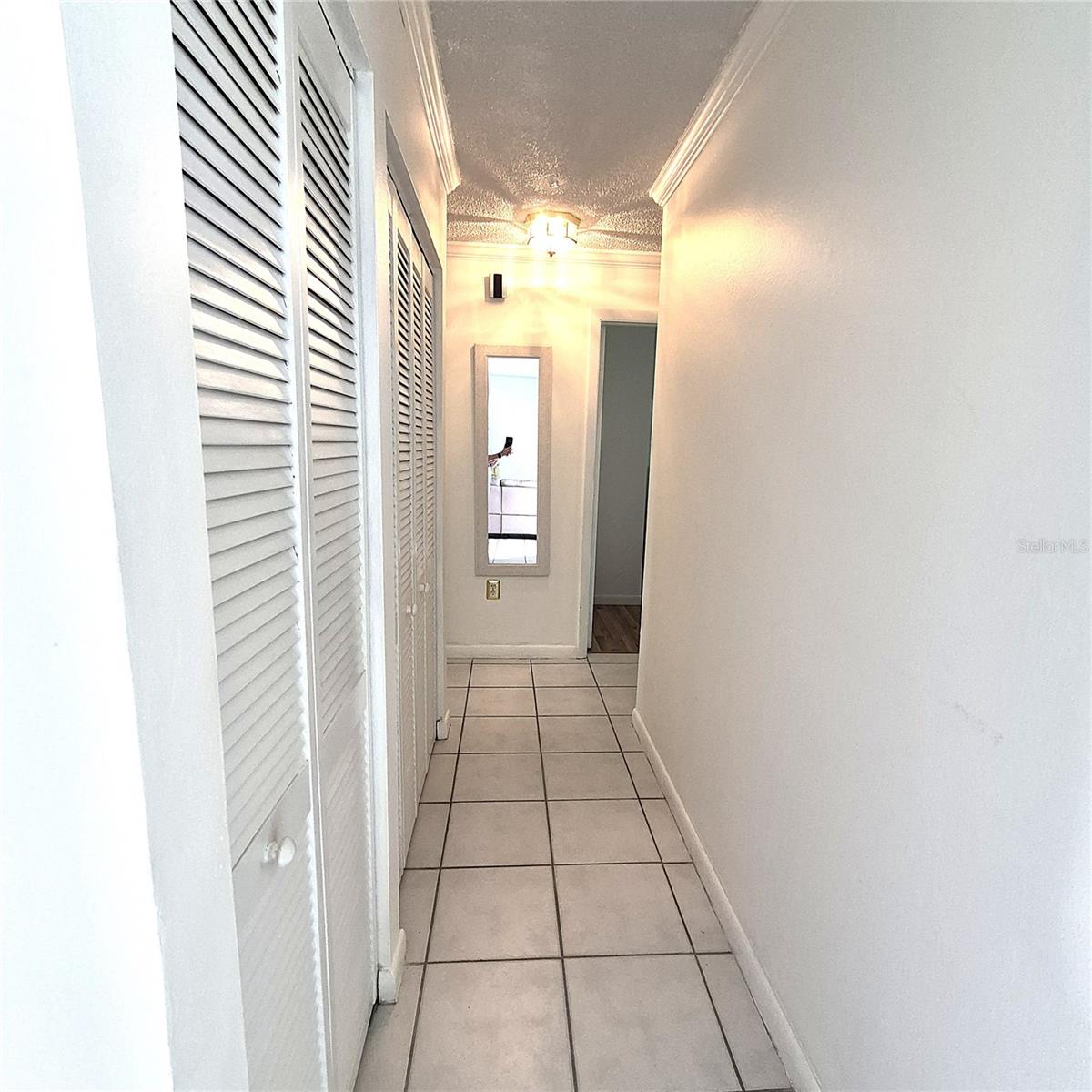 6204 Coralberry Terrace, FL