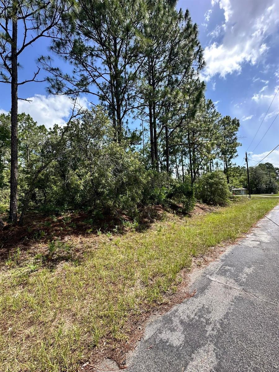 7398 Veronica Drive, FL