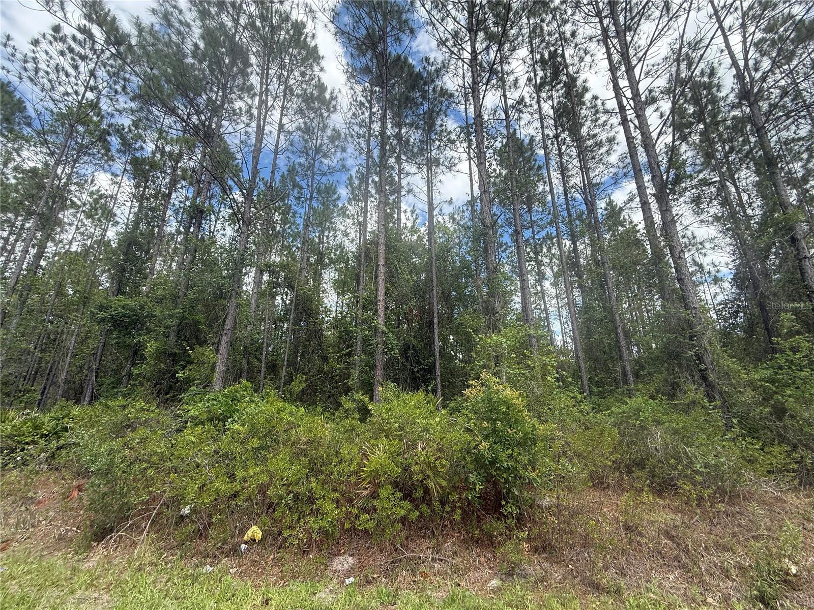 89th Street, FL