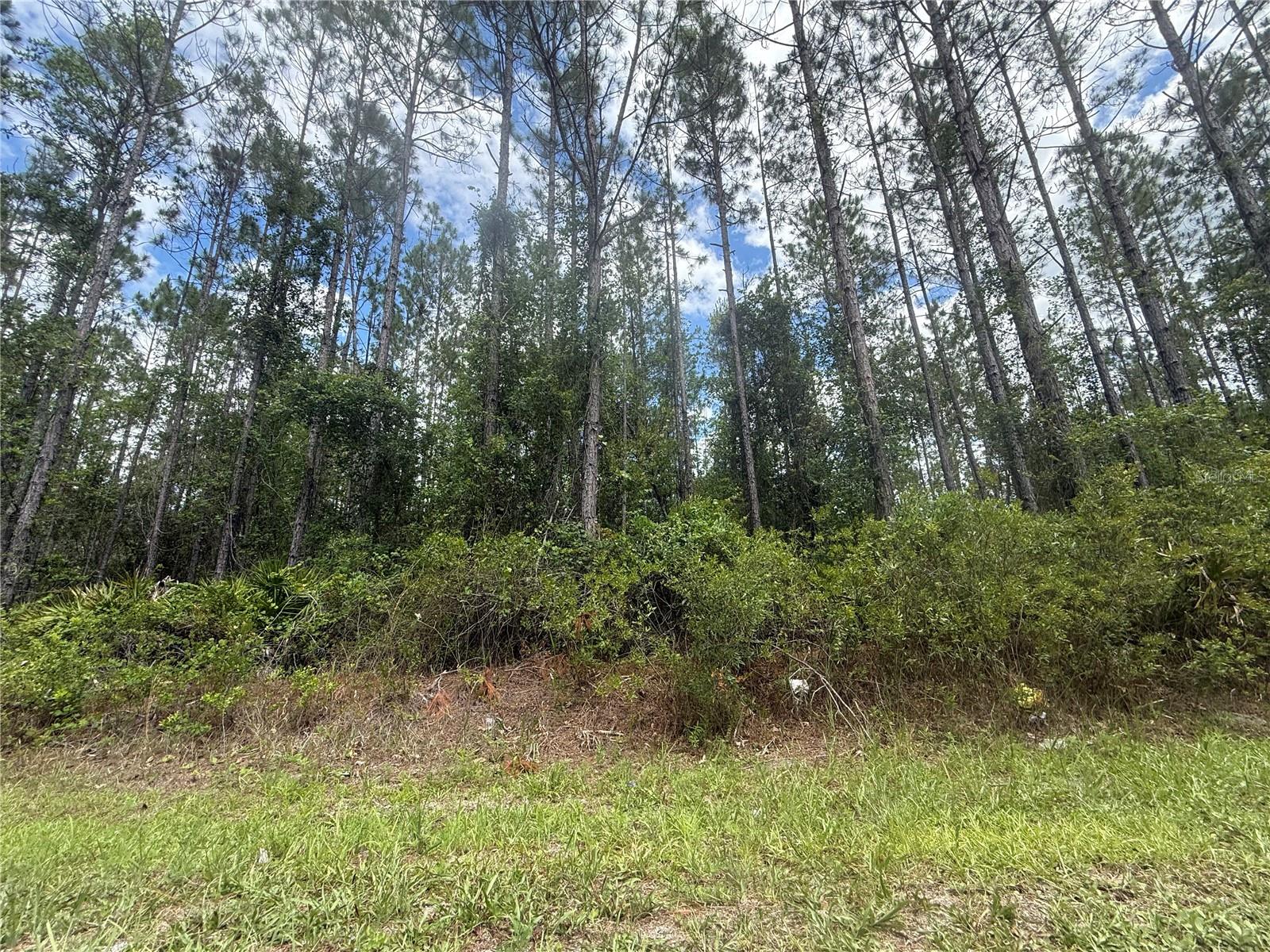 89th Street, FL