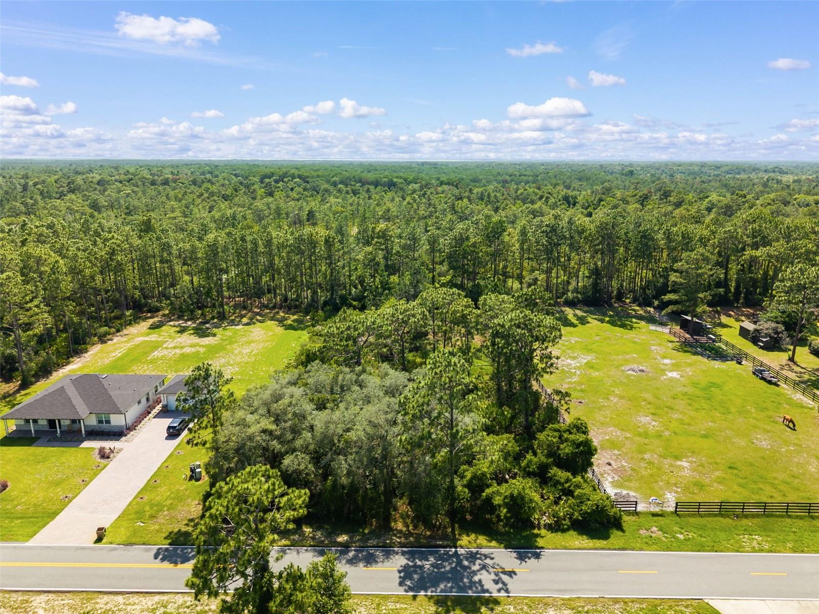 Royal Trails Road, FL
