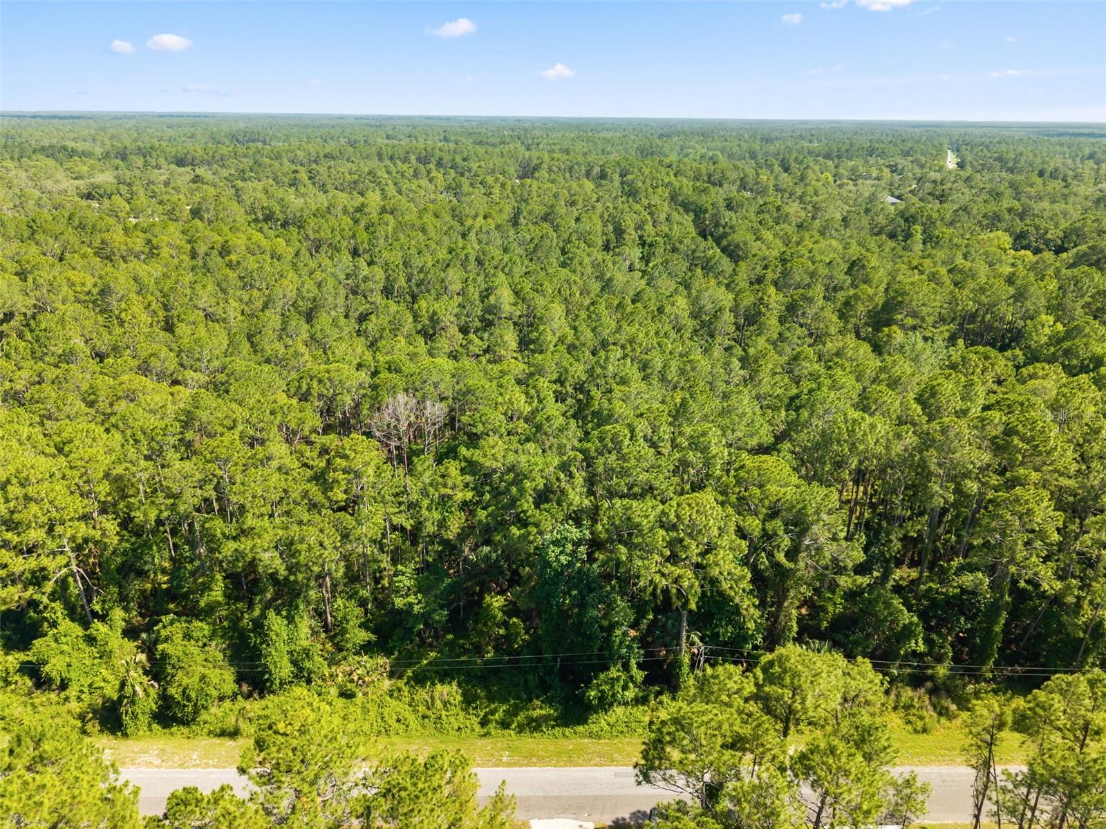 Apricot Avenue, FL